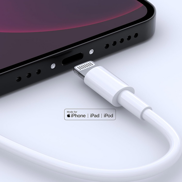 Pin de carga Apple